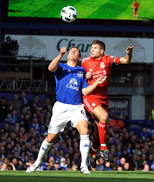 尤其是在多 尤其是在多