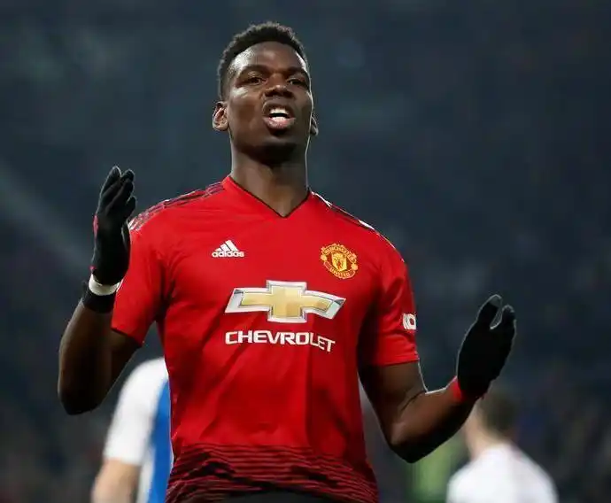 经验和专业 经验和专业